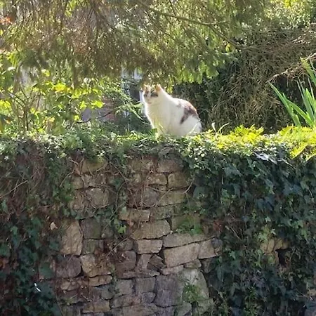 Au Coeur De La Suisse Normande Prázdninový dům