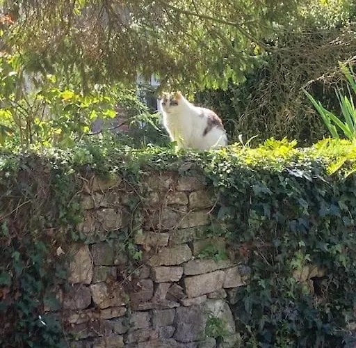 Au Coeur De La Suisse Normande Casa de Férias